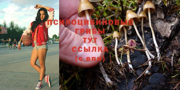 mdma Краснотурьинск