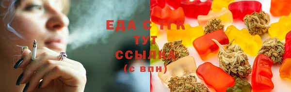 дживик Аркадак