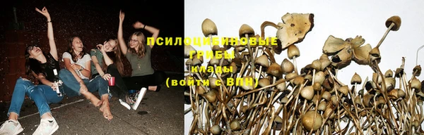 соль курить ск Арсеньев