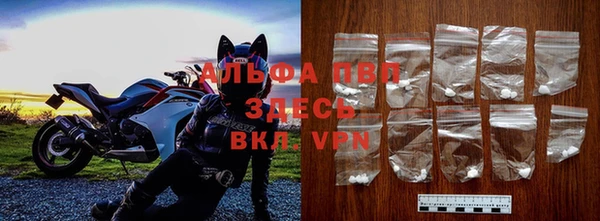 дживик Аркадак