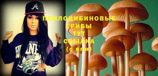 дживик Аркадак