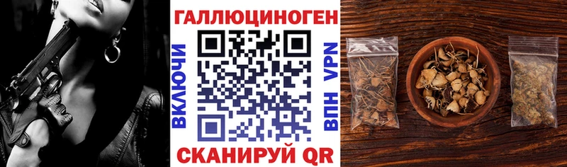 Псилоцибиновые грибы прущие грибы  ссылка на мегу зеркало  Азнакаево 